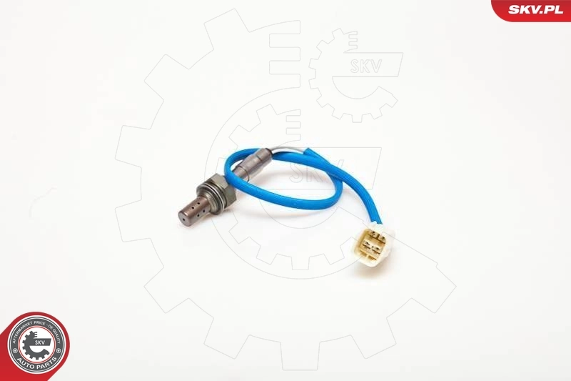 Oxygen Sensor
